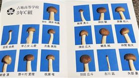 日本知名搞怪網紅ARuFa為鴻禧菇拍攝「畢業紀念冊」。（圖／翻攝自X）