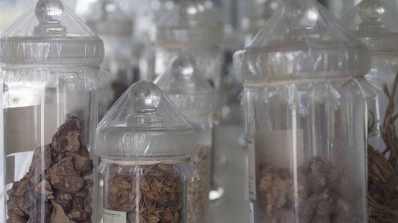 嬤掏偏方治孫害進ICU　媽淚崩：隨時沒命