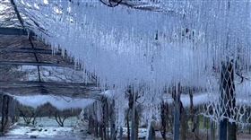 武陵農場零下3.1度，夢幻冰宮，冰柱廉，水晶捕夢網，(圖／翻攝畫面)