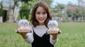 高雄燈會,2025,小提燈,吉伊卡哇,Chiikawa