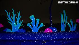 台南,月津港,月津港燈節