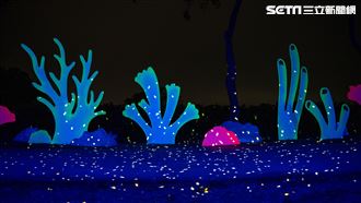 月津港燈節搶先看！66藝術品綻放光的年輪