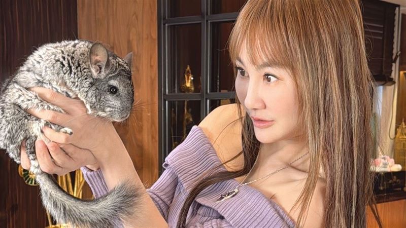 獨／禁養狐獴、土撥鼠？她為「寶貝」開轟