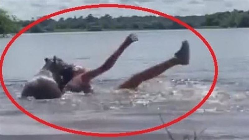 女慘遭水豚硬上攻擊　生死瞬間影片曝光