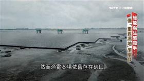 綠能淪生態殺手　光電海毀潮間帶「環評管不著」