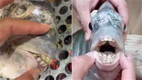 阿嬤買到「人牙魚」！家人狂嗑：真的很好吃　孫女嚇壞（圖／翻攝自IG）