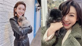 簡立喆認為農業部禁止物種，是消極無法解決問題的政策。（圖／翻攝自chienliza IG）