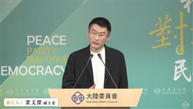 陸委會副主委兼發言人梁文傑。（圖／翻攝陸委會直播）