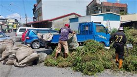 除蔓換現金,小花蔓澤蘭,香澤蘭,收購,林保署（圖／林保署南投分署提供）