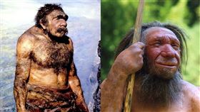 尼安德塔人大鼻子　那裡也不小？尺寸曝光