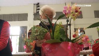 年節插盆花技巧一次看　注意這1點省千元