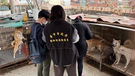 台中貓狗煉獄！80毛孩囚社區地下鐵籠20年