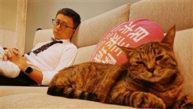 呱吉轟館長、陳玉珍、陳沂沒文化：他們對於自己的無知毫無概念。（圖／翻攝自呱吉臉書）