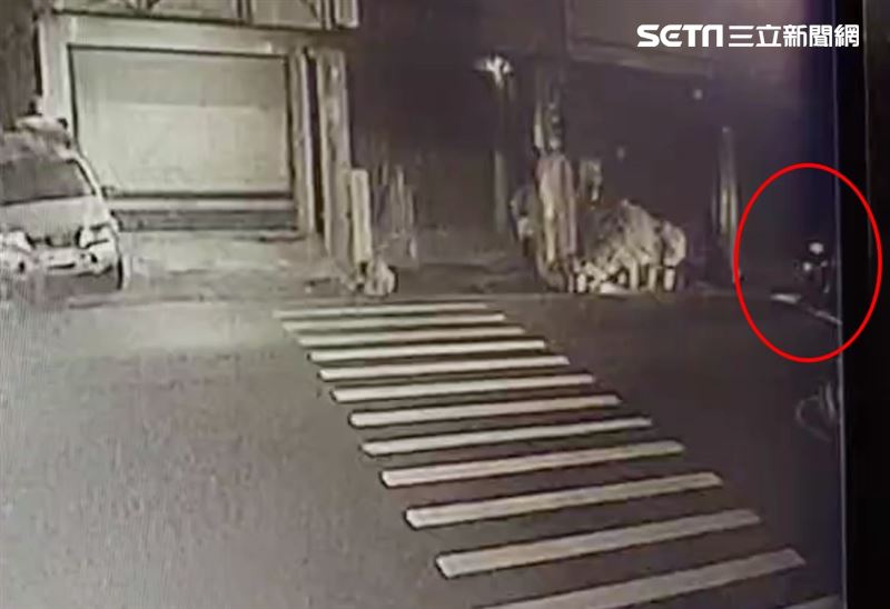 監視器拍下陳男最後身影，依規定等紅燈，不料下秒遭後車撞飛。（圖／翻攝畫面）