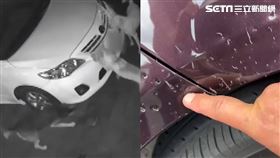 車停家門口保險桿現刮痕　監視器揪凶:流浪狗啃咬