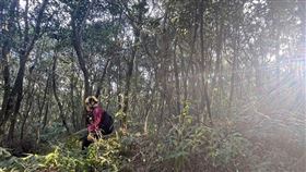 台北市消防局兵分六路進入山區搜索林葉亭父親下落。（圖／翻攝畫面）