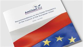 歐盟美國商會(圖/翻攝自歐盟美國商會官網)