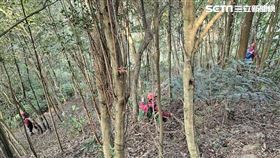 藝人林葉亭父親失蹤第６天，北市消防局出動50人1犬持續搜山。（圖／翻攝畫面）