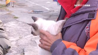 獨／強震住戶受傷撿回一命　全因貓的報恩