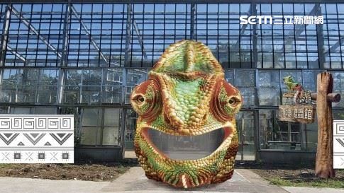 金蛇年！全台最大「兩棲爬蟲館」新亮相