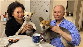 吳宇森。（圖／倪有純提供）