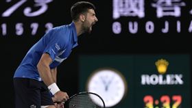 ▲喬科維奇（Novak Djokovic）。（圖／美聯社／達志影像）