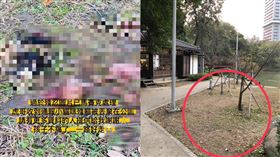 新竹公園驚見貓屍！連3起「斷頭、內臟散落一地」動保所急介入調查。（圖／翻攝自邵柏虎臉書）