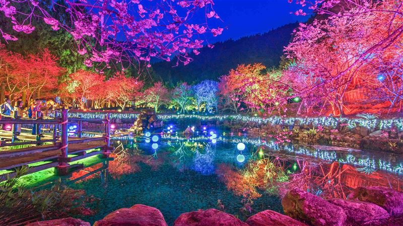 九族X阿里山　全台兩大櫻花祭強強聯手