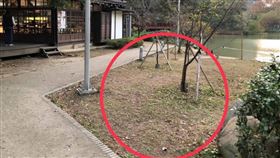 新竹公園近日驚見斷頭貓屍，且腸子、器官散落，嚇壞民眾。