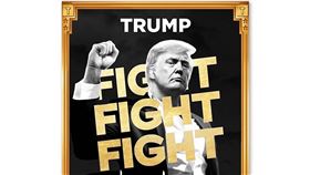 新聞幕後／川普迷因幣再掀風暴　總統身分變全球吸金利器？（圖／翻攝自X@Donald J. Trump）