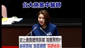 陳菁徽點名施景中是綠營側翼。(圖/翻攝自施景中臉書)