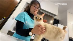 文 寵保姆爆單1800