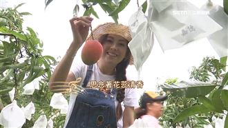 獨／震後房開天窗　芒果公主喬幼老家受損