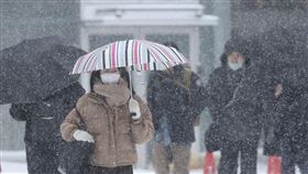 日本北海道縣札幌市出現降雪，人們在降雪中行走。（圖／美聯社／達志影像）