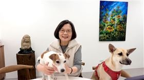 蔡英文帶著她的愛犬樂樂、鳳梨妹妹一同爬山走春（圖／蔡英文辦公室提供）春節留稿，1/31中午12點後才能發