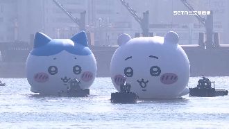 巨無霸吉伊卡哇來了！游進高雄港萬人朝聖