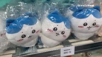 搶買正版吉伊卡哇爆口角　外圍攤販賣盜版