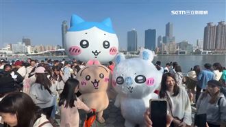 吉伊卡哇夯！遊客捶兔兔　操偶師雙手瘀青