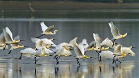 國家公園。（圖／內政部提供)