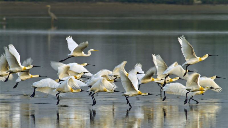 春節走訪國家公園　享受自然人文魅力