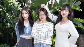 「韓國女生Judy」、Judy、素泳、恩惠。（圖／記者趙于瑩攝影）