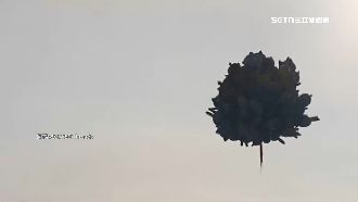 吉伊卡哇氣球整串飛走　立槳業者跳水搶救