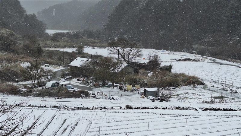 寒流發威！武陵農場雪山登山口降冰霰及雪