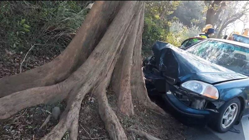 苗128線死亡車禍！男開車撞路樹送醫不治