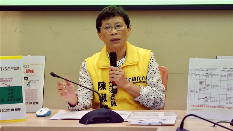 前時力黨主席：執政黨被霸凌「剛好而已」