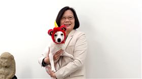 蔡英文抱著樂樂拜年（圖／蔡英文辦公室提供）