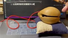 木魚,發光,誦經