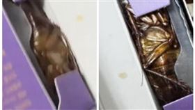 有名女網友投訴，隱形眼鏡盒裡有大蟑螂。（圖／翻攝自Threads）
