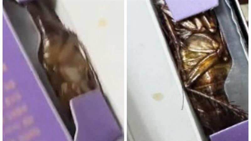 她拆新隱眼驚見大蟑螂　崩潰投訴廠商