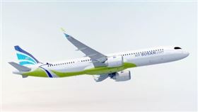 ▲釜山航空一架班機尾部發生起火情形。（圖／翻攝釜山航空IG）

